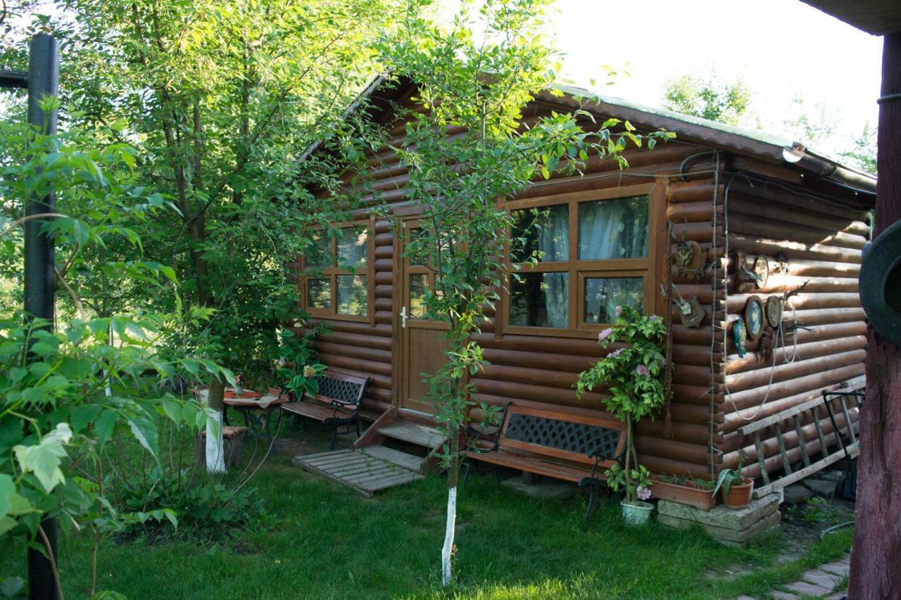 Hotel Casa Ana Biertan Zewnętrze zdjęcie